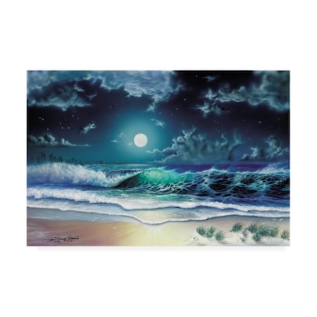 Dann Spider Warren 'Enchanted Waters' Canvas Art,16x24